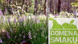 Bystrzanow weekend 2