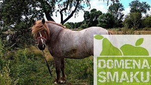 Bystrzanow weekend 1